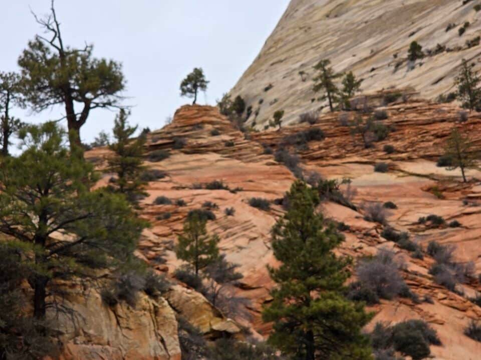 Zion National Park, Utah — photo 2