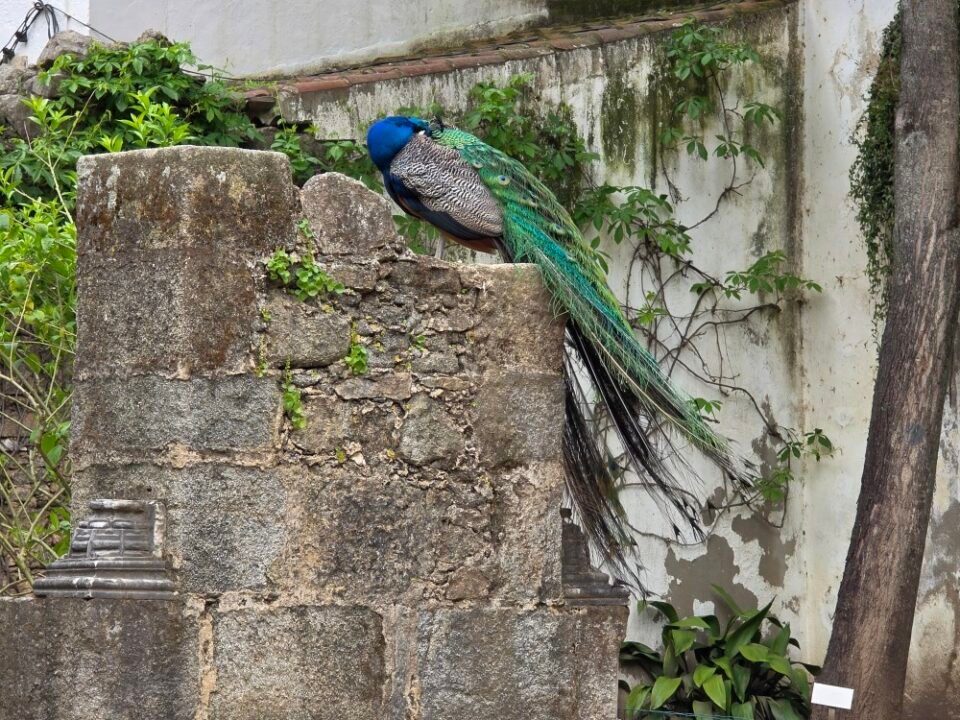 Evora, Portugal — photo 14