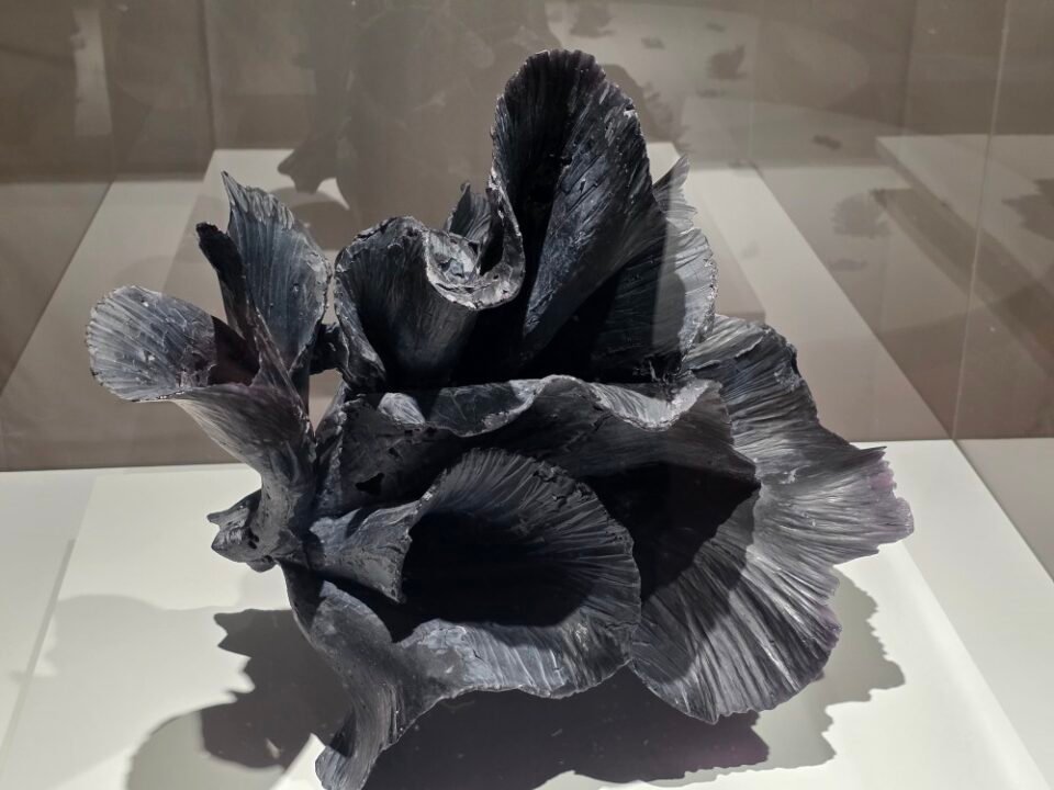 Toyama Glass Art Museum, Toyama, Japan – Toyama Prefecture – photo 16