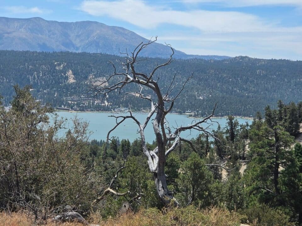 Big Bear Lake, CA — photo 7