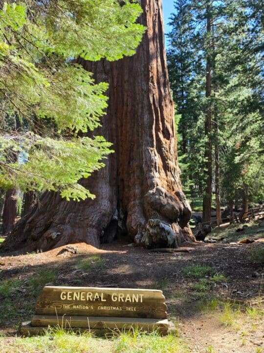 Kings Canyon National Park, CA — photo 10