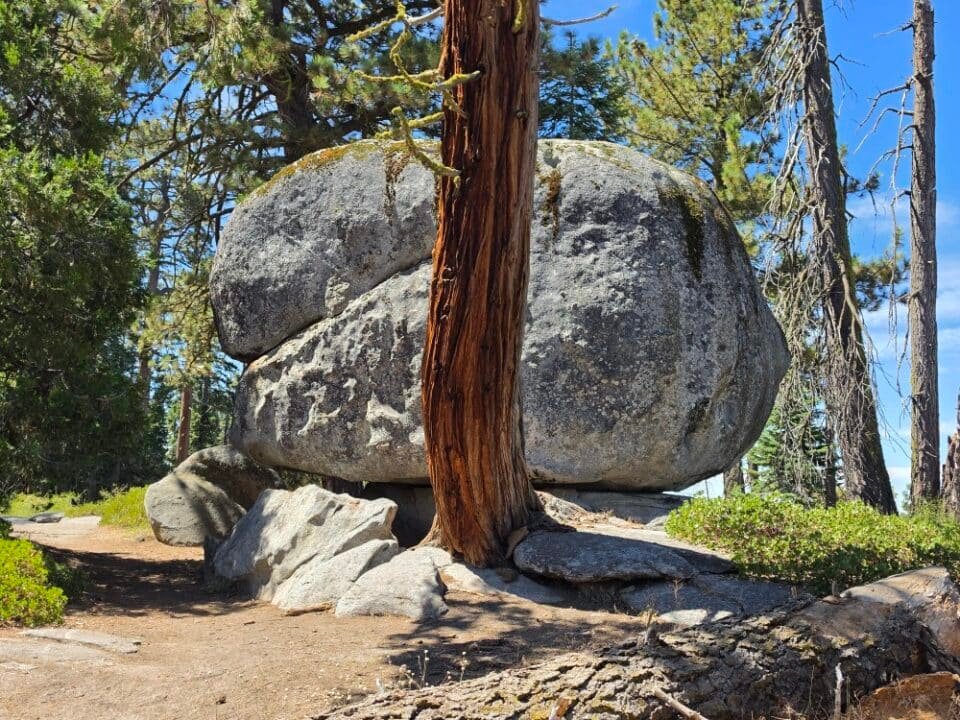 Kings Canyon National Park, CA — photo 4