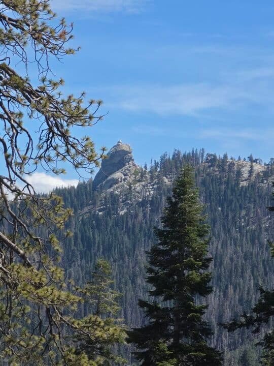 Kings Canyon National Park, CA — photo 15