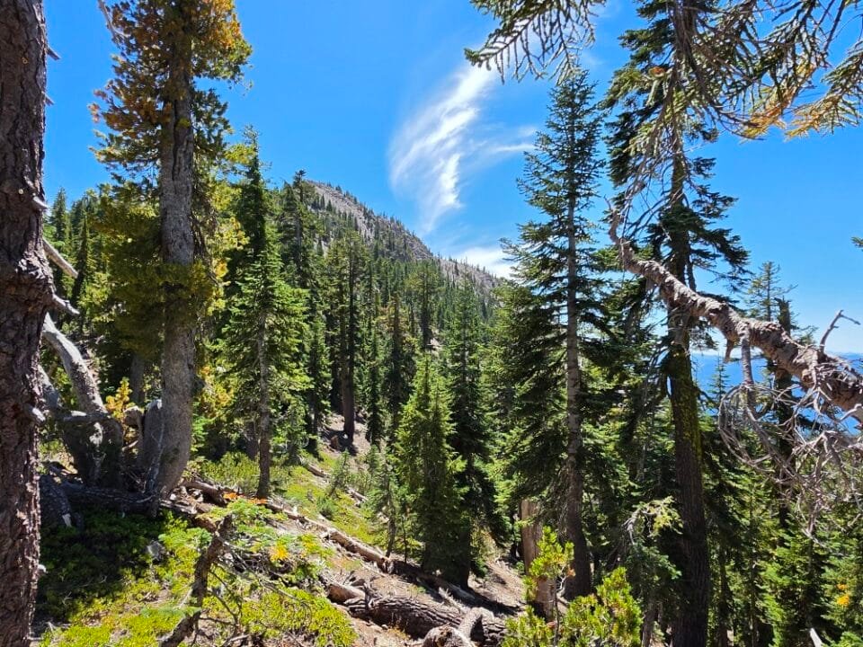 Mt. Shasta, CA — photo 7