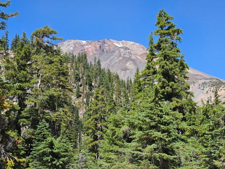 Mt. Shasta, CA — photo 8