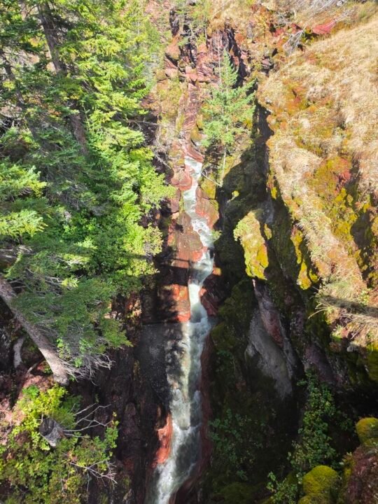 Waterton Park, Alberta, Canada — photo 9