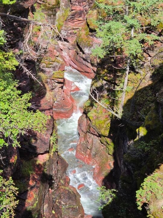 Waterton Park, Alberta, Canada — photo 11