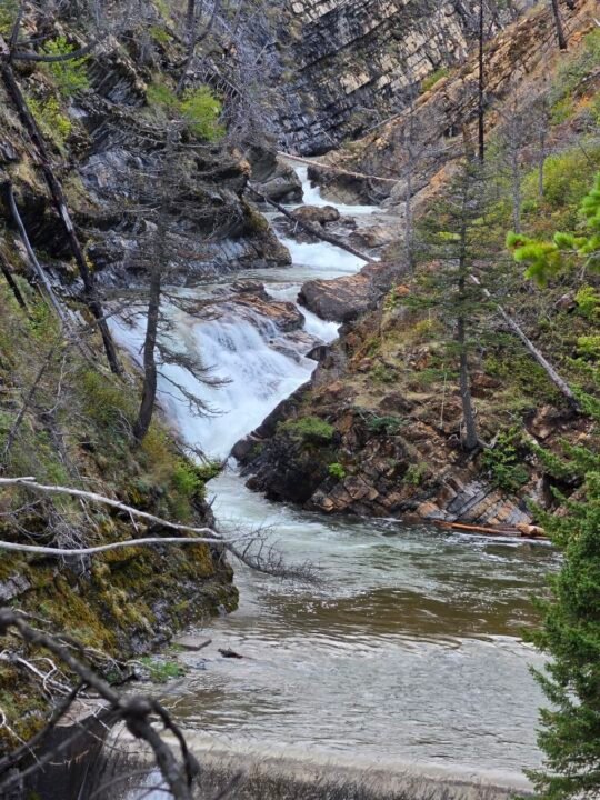 Waterton Park, Alberta, Canada — photo 8